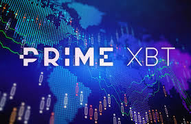Compare Cobinhood vs PrimeXBT Which Trading Platform Suits You Best