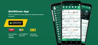 Ultimate Guide to BetWinner Sports Betting and Casino 14